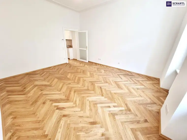 Samir Agha-Schantl, Schantl ITH Immobilientreuhand GmbH
