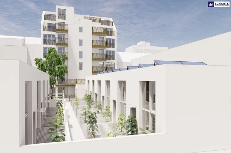 Samir Agha-Schantl, Schantl ITH Immobilientreuhand GmbH