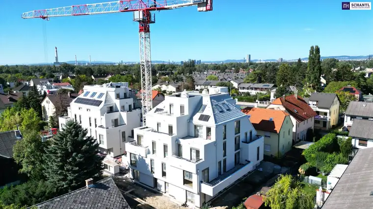 Samir Agha-Schantl, Schantl ITH Immobilientreuhand GmbH