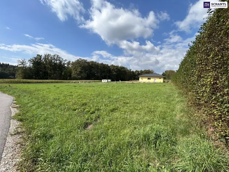 TOP WOHNPROJEKT möglich! IDEAL für BAUTRÄGER! In unmittelbarer Nähe zu den Wundschuher Seen! TOP Anbindung! VOLLERSCHLOSSENES und FLACHES BAUGRUNDSTÜCK!