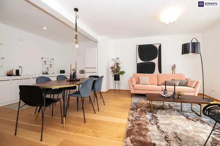 Samir Agha-Schantl, Schantl ITH Immobilientreuhand GmbH