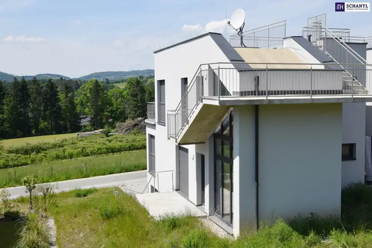 Modernes DOPPELHAUS mitten in den West-Steirischen WEINBERGEN - mit DOPPELGARAGE, GARTEN, TERRASSE &amp; DACHTERRASSE!