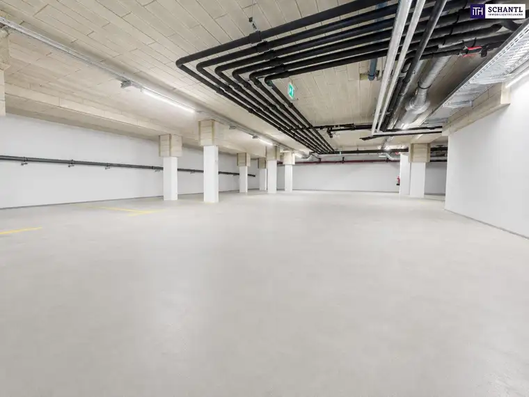 Attraktives Paket aus Lagerfläche &amp; Garagenplätze im Zentrum von Schwechat: nahe zum Bahnhof und zum Hauptplatz!