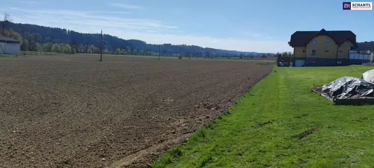 ++GEWERBEGRUNDSTÜCK ca. 20.0000 m² im GROßRAUM von GRAZ und LEIBNITZ++ PERFEKTE VORRAUSSETZUNGEN für BETRIEBSANSIEDLUNG gegeben++ BD 0,2 - 0,6++