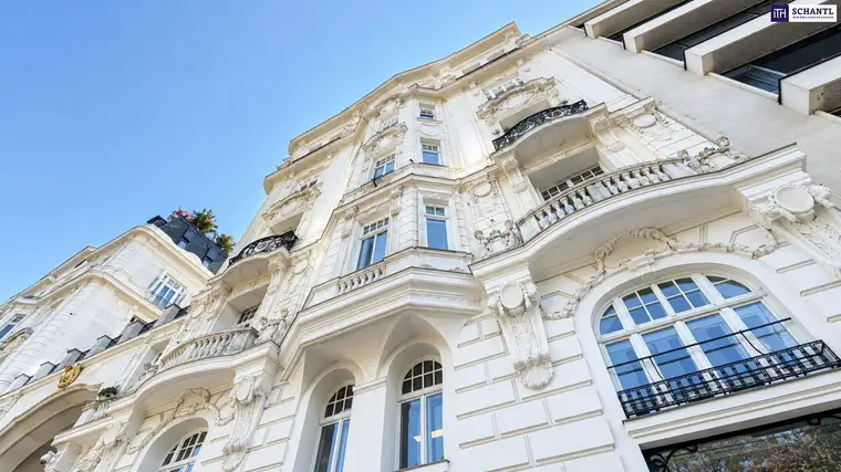 Inkognito-Wohnung mit WOW-Effekt – stilvoller Altbau nähe Belvedere