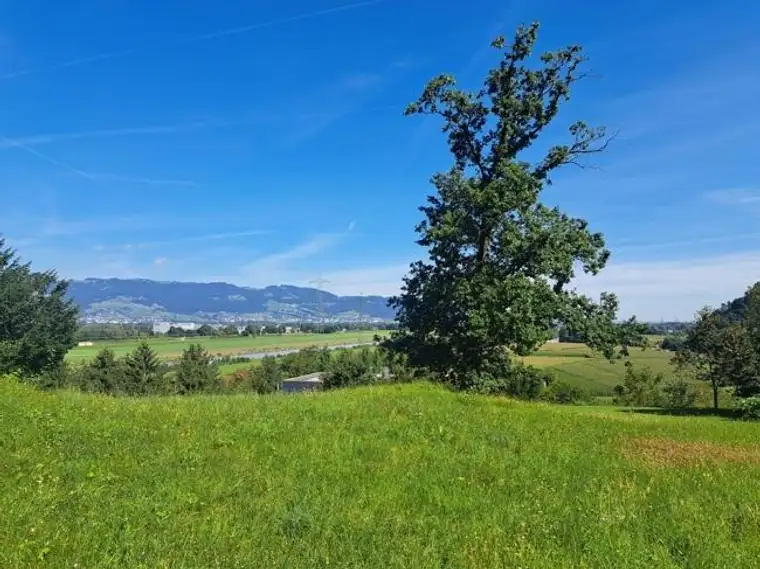 Exklusives Baugrundstück 1338m² am Gitzebühel in Koblach mit bester Sicht auf die Schweizer Bergwelt!