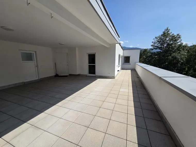 Andreas Domig, DOMIG Immobilien OG