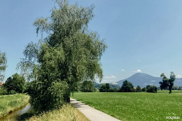 Maxglan-West: 4 ZI-FAMILIENHIT mit Garten + Garage