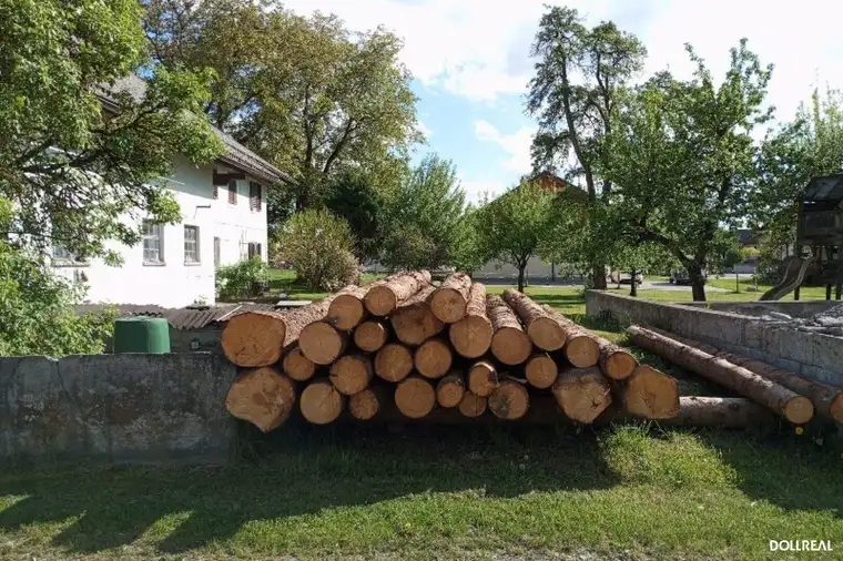 STEINDORF BEI STRASSWALCHEN: Obstgarten XL - 1.815m² Platz für Neues!