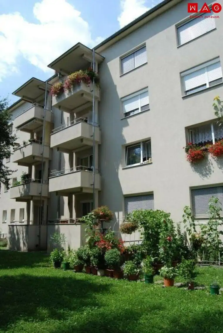 Zentrale und trotzdem ruhige und gemütliche Single-Wohnung! Ihre persönliche Wohlfühloase am schönen Bindermichl!
