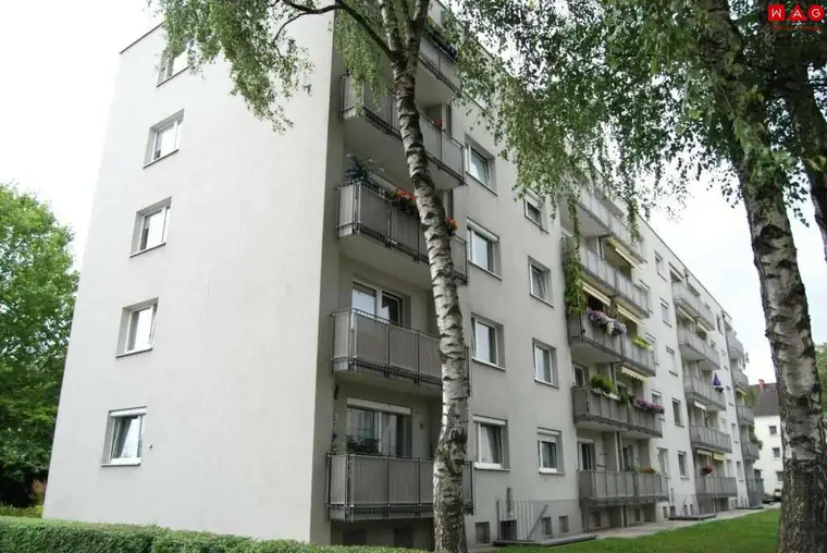 Leistbare 3-Zimmer Wohnung in ruhiger, grüner Lage mit pefekter Anbindung in das Linzer Zentrum!