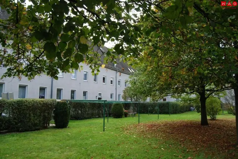 Urbanes Wohnen in zentraler Lage - grüner Innenhof - preiswerte 2-Zimmer Wohnung - erstklassige Infrastruktur!