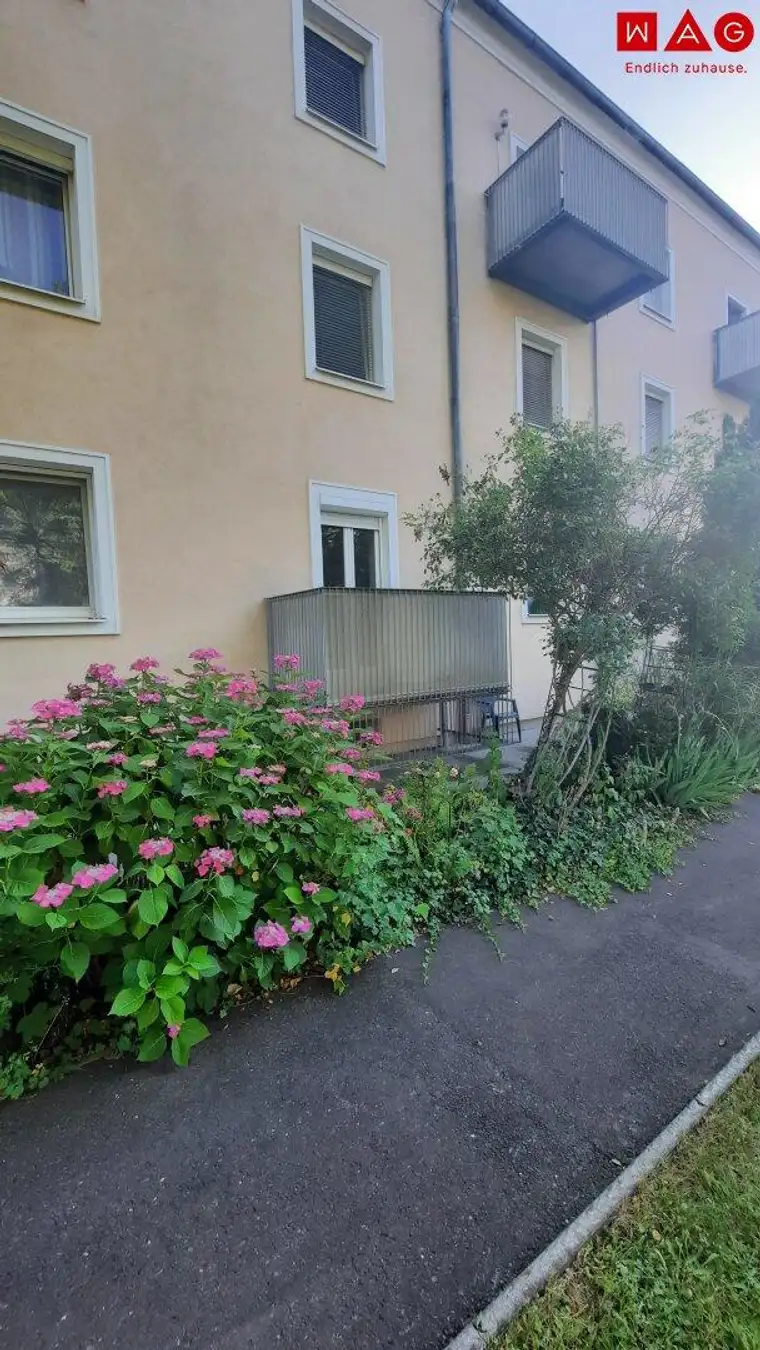 Kleine sehr gut aufgeteilte 3-Raum-Wohnung mit Balkon ins Grüne! Ab sofort!