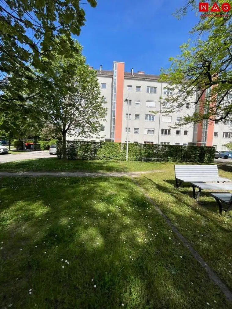 Singles aufgepasst! Traumhaftes Wohnen am beliebten Bindermichl! Von Grünflächen umgeben &amp; gleichzeitig nah am Zentrum! Gute Infrastruktur und gute Öffisanbindung