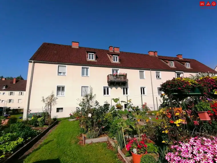 Charmante 3-Raum-Wohnung im Grünen ab 01.09.2025 verfügbar!