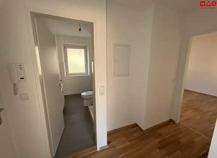 Sonnendurchflutete 2-Zimmer-Wohnung mit herrlichem Grünblick im beliebten Münichholz – liebevoll saniert, mit modernem Wohlfühlbad, praktischen Wohnräumen und perfekter Anbindung für alle, die Ruhe und Stadtnähe zugleich schätzen!