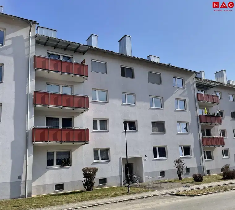 Neu sanierte Singlewohnung