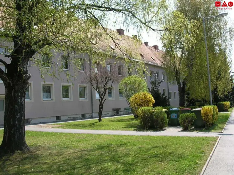 Super günstige 5-Zimmer-Wohnung in Thermennähe mit Morgensonne