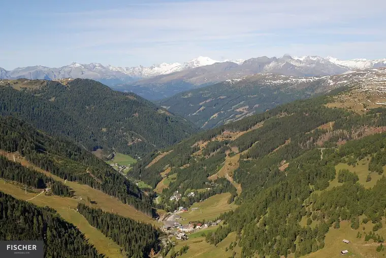 Reinhard FISCHER, FISCHER-Immobilien