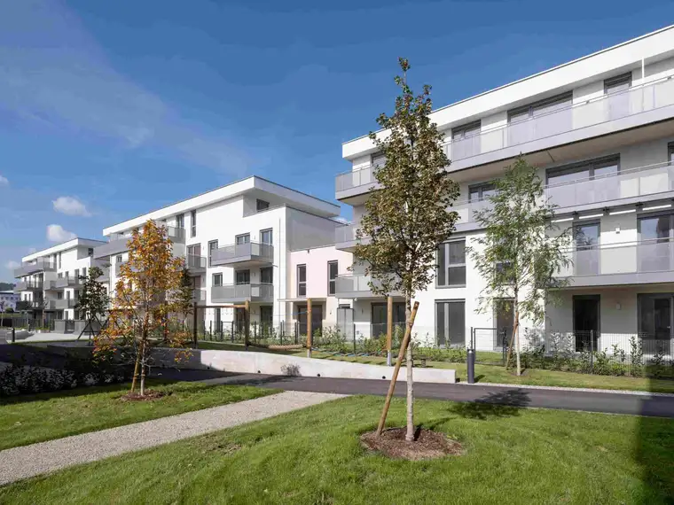 PROVISIONSFREI - Graz Hafnerstraße Bau 2 - Miete - 2 Zimmer 