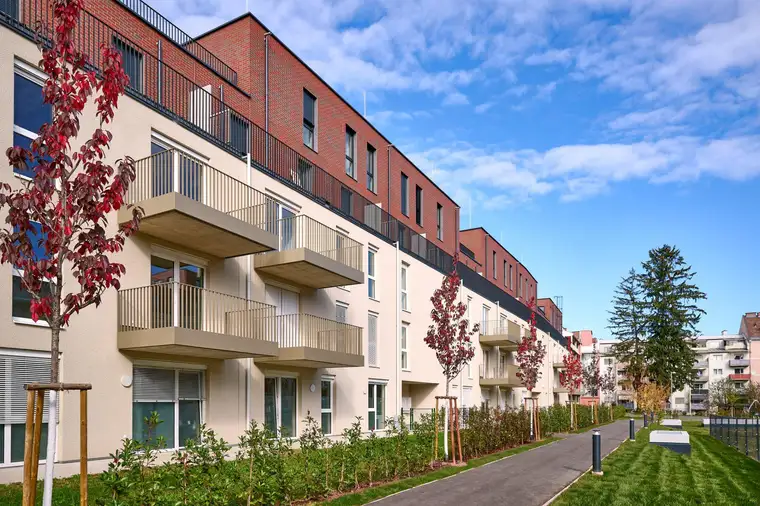 3-Zimmer‑Wohlfühloase-Erstbezug - Miete - 3 Zimmer 