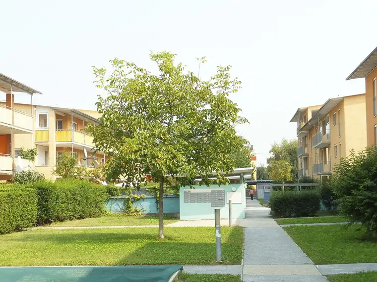 Schererstrasse - geförderte Miete ODER geförderte Miete mit Kaufoption - 2 Zimmer 