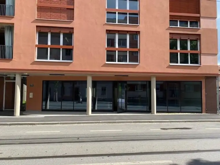PROVISIONSFREI - Gewerbefläche in der Petersgasse, Nähe TU - Miete - 1 Zimmer 