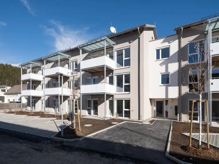 Lichtdurchflutete 2-Zimmer-Wohnung mit Küche und Terrasse in ruhiger Lage - geförderte Miete - 2 Zimmer 