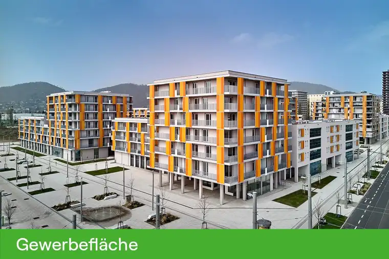 PROVISIONSFREI - Reininghaus Gewerbefläche - Miete - 