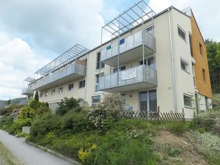 PROVISIONSFREI - Pinggau - geförderte Miete ODER geförderte Miete mit Kaufoption - 2 Zimmer 