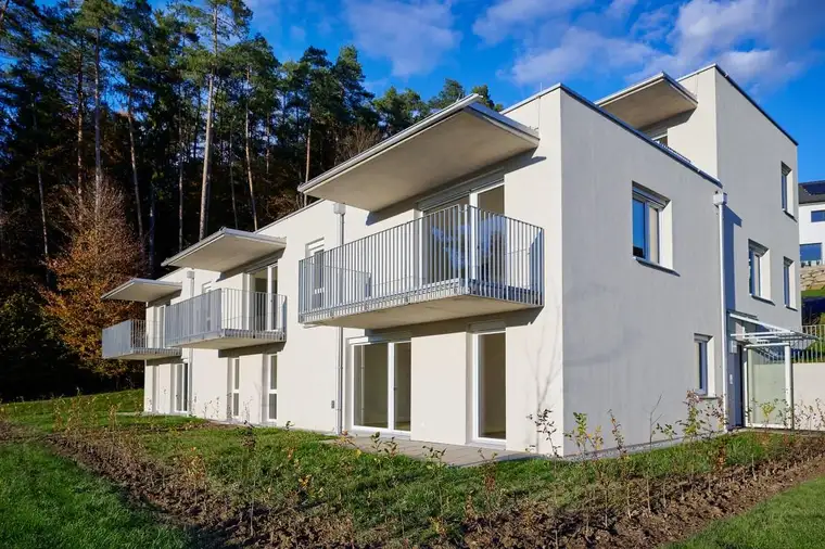 PROVISIONSFREI - Moderne 2-Zimmer-Wohnung in ruhiger Lage - geförderte Miete - 2 Zimmer 