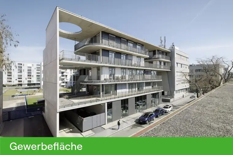 PROVISIONSFREI - YOUNG &amp; URBAN LIVING - Miete - 