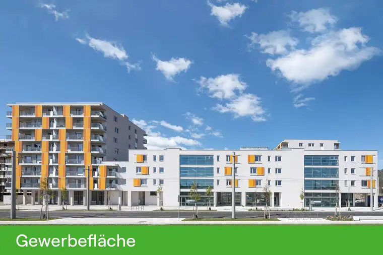 Reininghaus Gewerbefläche - Miete - 