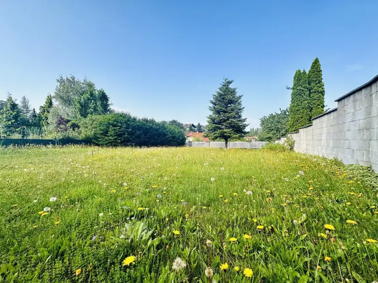 2811 Wiesmath - Eigennutzen oder Rendite - Tolle Erdgeschosswohnung mit 43 m² und allgemeinen Garten (Top 1) in Wiesmath