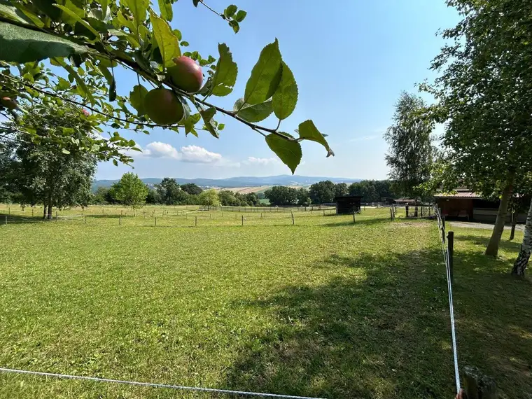 Traumhaftes Reitparadies in 7461 Stadtschlaining gelangt zum Verkauf: Einzigartige Chance für Pferdeliebhaber