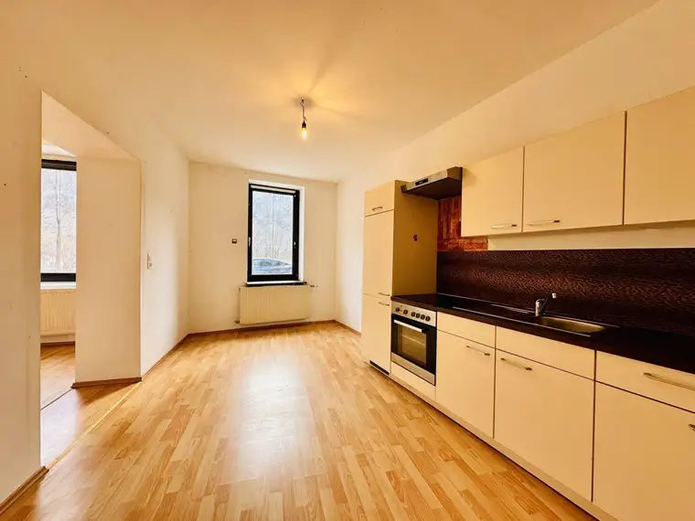 Wohnung mit Garten - 6 Minuten von Ternitz. Mit eigener Bushaltestelle!