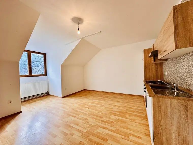 Wohnung mit Garten - 6 Minuten von Ternitz. Mit eigener Bushaltestelle!