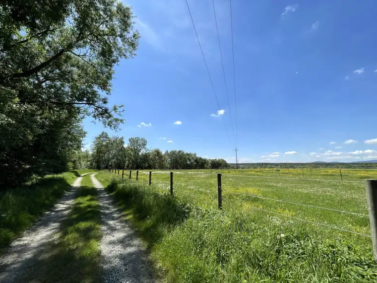 Top gepflegte Reitanlage im idyllischen Südburgenland – Verwirklichen Sie Ihren Traum!