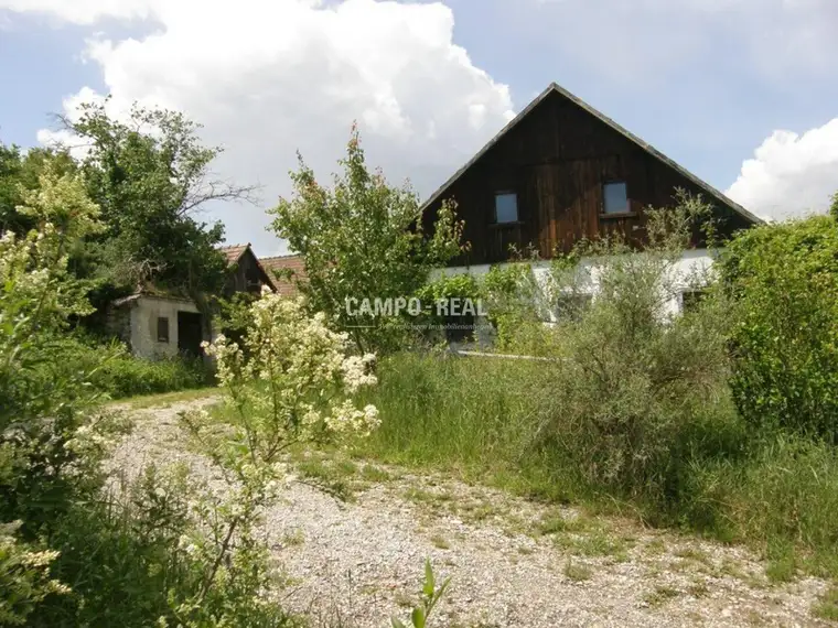 CAMPO LAND- U. FORSTWIRTSCHAFT: Reduzierter Preis - Bauernhaus samt 12,7 ha Acker und 10 ha Wald