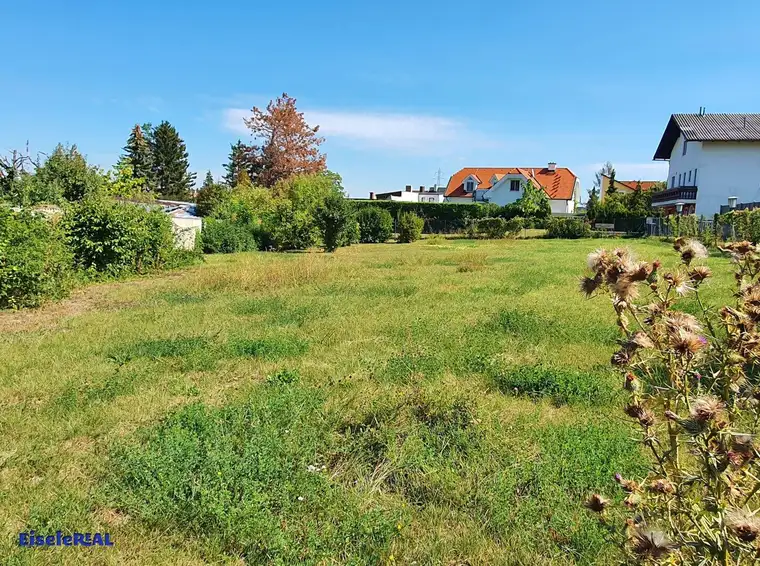 sonniger Baugrund für Einfamilienhaus