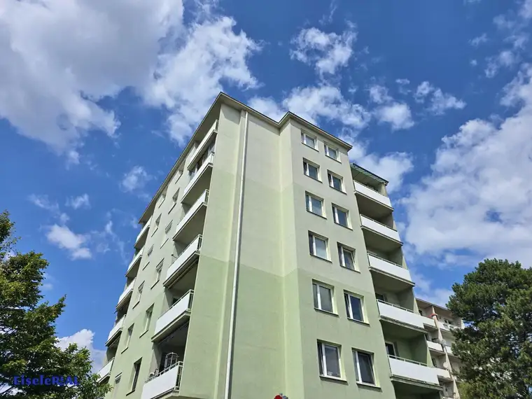 Stefan Bruckböck, Eisele Real KG