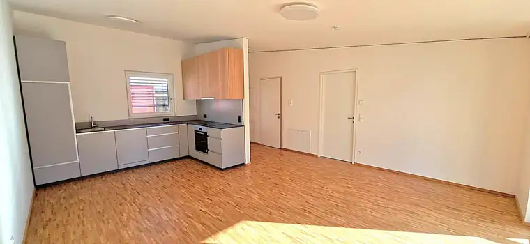 PLÖTZLICH SINGLE ? KEINE WOHNUNG ?