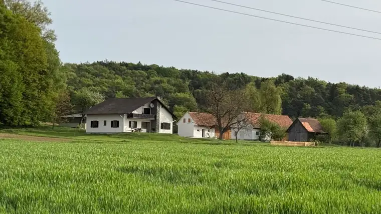 Eindrucksvolle Hofstelle in Alleinlage – Idyllisches Ensemble in der Südoststeiermark