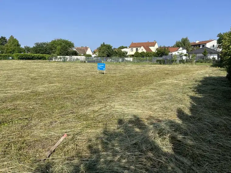 [06576] Großes Fahnengrundstück in ländlicher Idylle 
