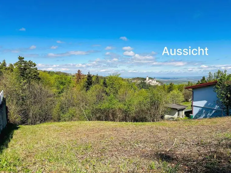 [06536] Großzügiges Baugrundstück mit Burgblick in Forchtenstein