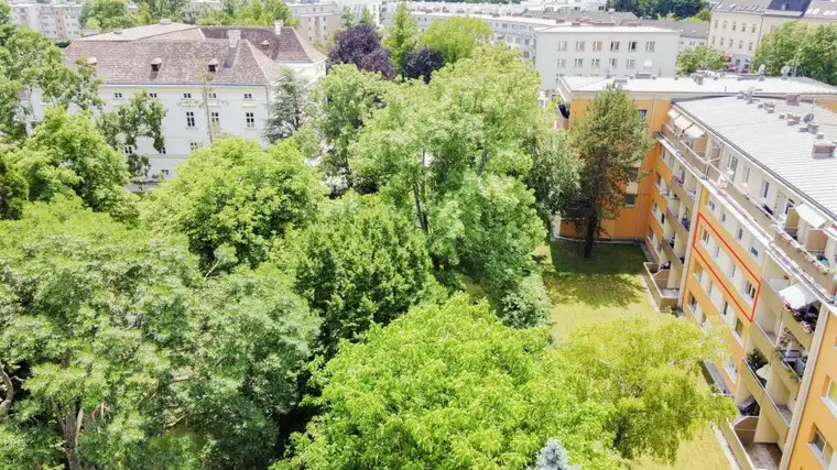 [06784] Frisch renovierte, helle Wohnung in Bestlage am Hauptplatz von Bad Vöslau