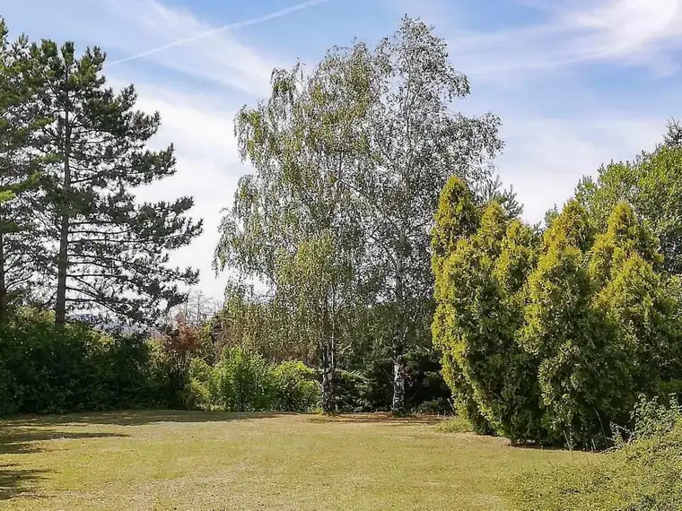 [06526] Blockhausidylle im Grünen