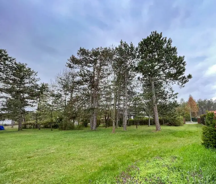 [06125] So wow! 1.560m² Bauland in Föhrenau/Schwarzau am Steinfeld