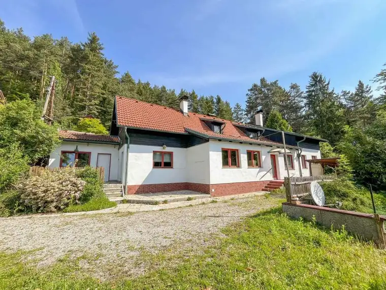 [06266] Waldidylle im Wechselgebiet