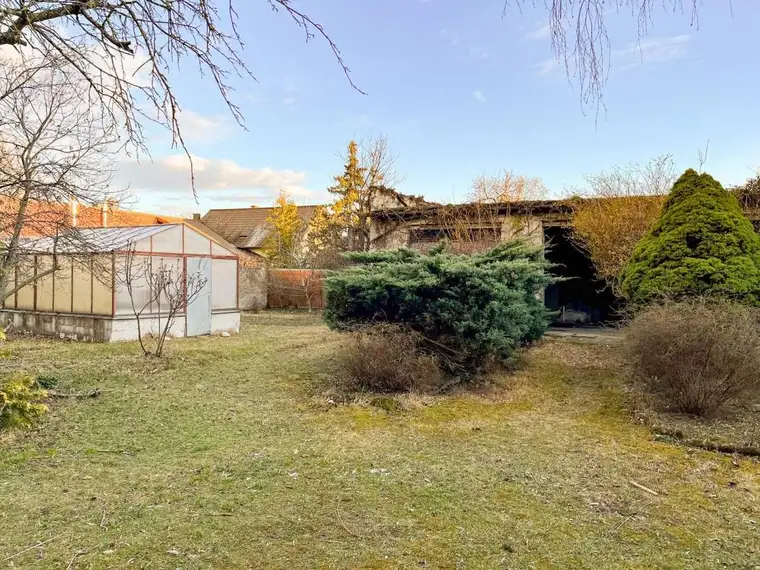 [06310] Großes Grundstück mit sanierungsbedürftigem Haus